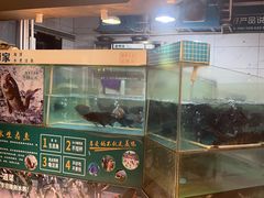 -老傅家湘潭水煮活鱼店(众一国际店)