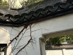 -上海醉白池公园
