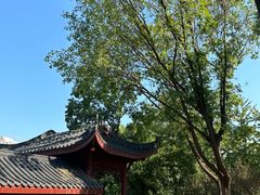 -堤角公园