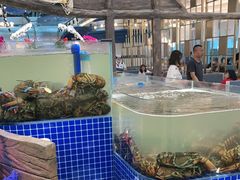 -半岛听涛蒸汽海鲜自助(K11店)