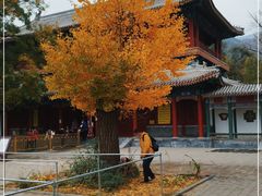 -潭柘寺景区