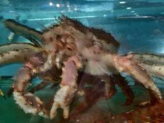 -稻香(马头围道店)