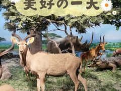 -国家自然博物馆