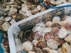 -鑫渔港海鲜本地菜·山海关浑锅(东戴河店)