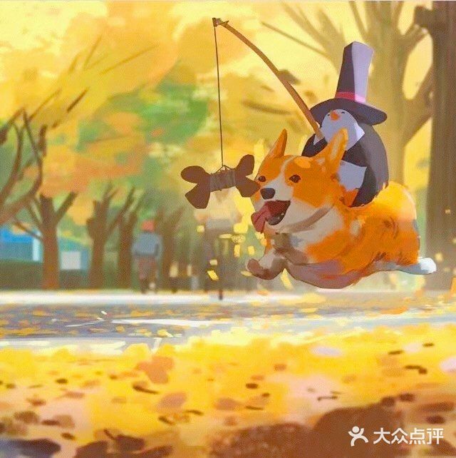 秋日里的狗狗