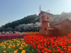 -苏州上方山国家森林公园