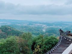 -云碧峰国家森林公园