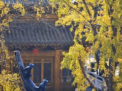 -上海东林寺(金山区)