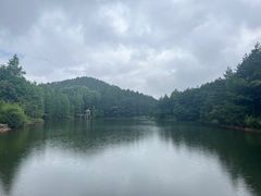 -四明山国家森林公园