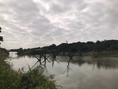 -鹤之洲湿地公园