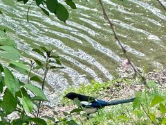 -长春公园(普阳街道)