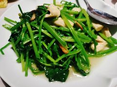 红根菠菜炒鲜腐竹-船歌·鱼水饺青岛菜(闽江二路店)
