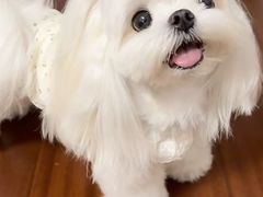 -爱侣宠医·鹦鹉专科·小型哺乳类·异宠专科(灵石路店)