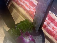 -淼福猪肚鸡·椰子鸡火锅(大沙地店)