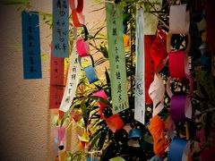 -盘古七星酒店·京都怀石花传日餐厅