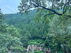 -泰山风景名胜区