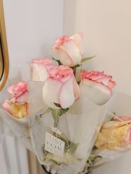 -禾丽康美医疗美容医院