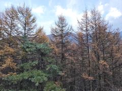 -秦岭风景区