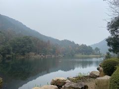 -桃花岭景区