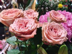 -谷莠子花艺·气球派对·绿植造景·花艺沙龙(金光华广场店)