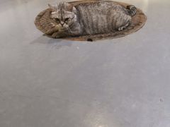 -小时光咖啡馆(开森度假森林店)