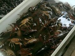 -小六农家乐(崇明西沙湿地店)