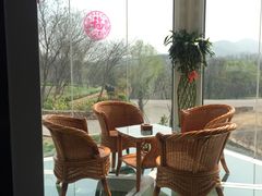 -汤山温泉房车营地 茶温泉