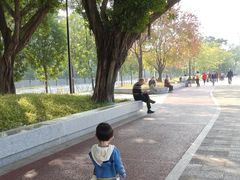 -荔湾湖公园