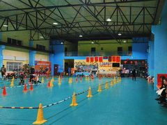 -长春乐奇平衡车儿童体能运动中心