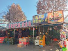 -秦岭欢乐世界