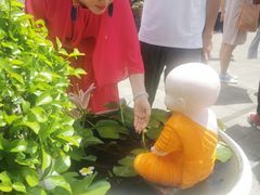 -西双版纳傣族园