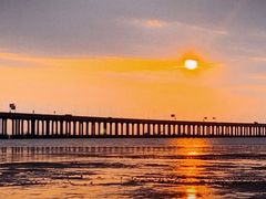 -宝安西湾红树林湿地公园