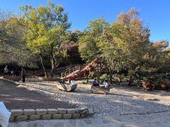 -北京西山国家森林公园