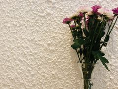 -Cafe on warm(丹霞店)