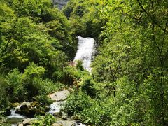-鹿院坪生态旅游景区