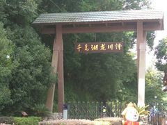 -千岛湖龙川湾