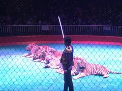 -西安秦岭野生动物园