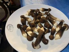 -千岛蚝高压锅生蚝·人参火锅(白云万达店)