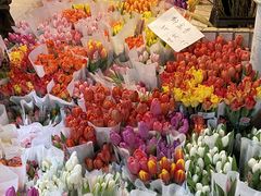 -循礼门鲜花花市(武汉循礼门店)