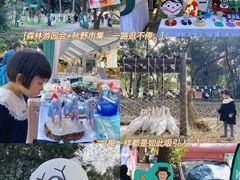 -南宁良凤江国家森林公园