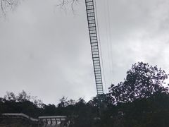 -九龙江国家森林公园