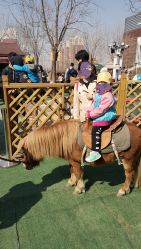 -萌宠亲子动物乐园(槐房万达店)