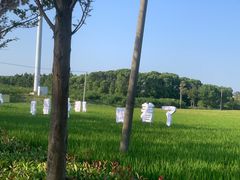-嘉北郊野公园