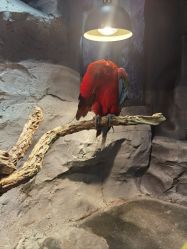 -Zoolung Zoolung动物主题公园(海信广场店)