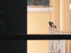 -胡志明市美术馆