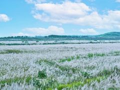 -红峡谷