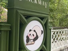 -轩客会(熊猫书店)