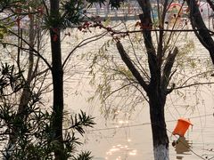 -八大山人梅湖景区