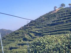 -国生茶庄·地道农家菜团建活动