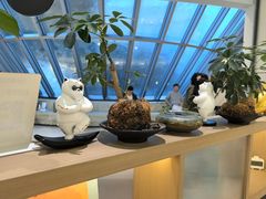 -长风拨筋养身(金虹桥店)